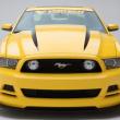 image ford-mustang-yellow-jacket-001.jpg