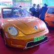 image vidoev-beetle-kloon-006.jpg
