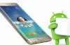 Polnische Samsung Galaxy S6 und Galaxy S6 edge haben begonnen, ein Upgrade auf Android 6.0 Marshmallow