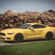 image Ford_Mustang_2015-17.jpg