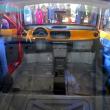 image vidoev-beetle-kloon-003.jpg