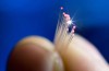 Researchers Achieve Fastest Ever Data Transmission at Blistering 1.125 Tbps