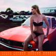 image Hot-Schrott-kalender-2014-03.jpg