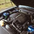 image BMW-Z8-2890.jpg