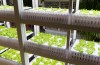 Japanske Selskapet å Bygge Verdens Første Selvstendige Gården