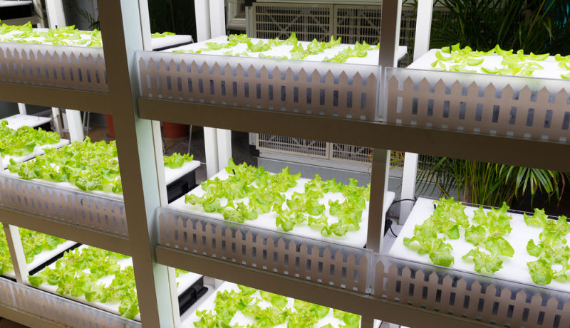 Japanese Company to Build the World's First Autonomous Farm