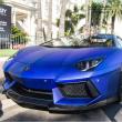 image dmc-lamborghini-aventador-roadster-008.jpg