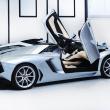 image Lamborghini-Aventador-LP700-4-Roadster-29.jpg