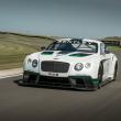 image Bentley-Continental-GT3-Goodwood-08.jpg