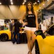 image EVS-Babes-Houston-09.jpg