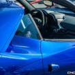 image ferrari-sergio-blauw -007.jpg