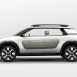 image Citroen-C-Cactus-01.jpg