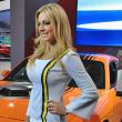 image babes-detroit-autoshow-2014-007.jpg