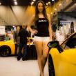 image EVS-Babes-Houston-16.jpg