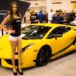 image EVS-Babes-Houston-33.jpg