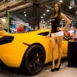 image EVS-Babes-Houston-28.jpg