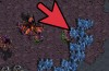 How to Acquire 12 Hatcheries in StarCraft: 9 Steps