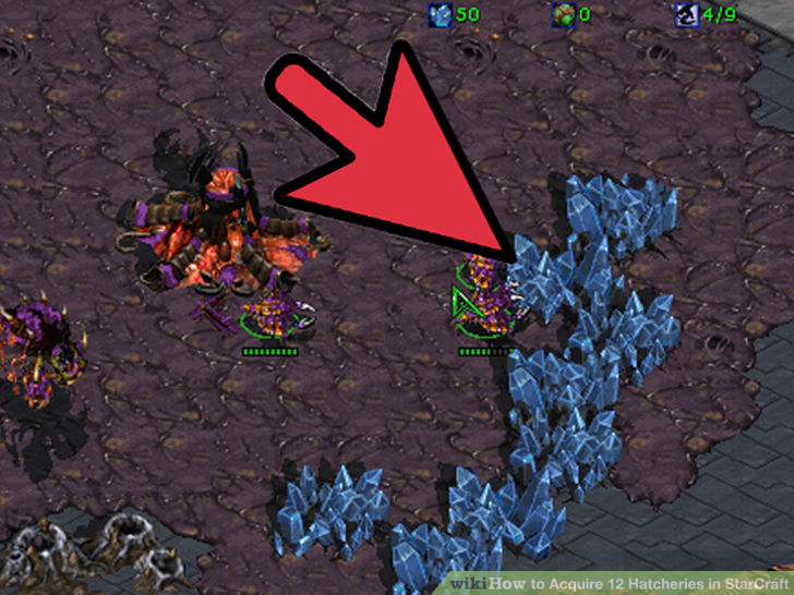 Image titled Acquire 12 Hatcheries in StarCraft Step 1
