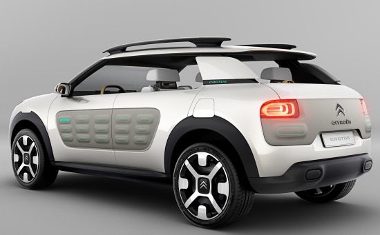 Cactus-citroen, best verfrissend