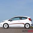 image ford-fiesta-rallye-groot.jpg