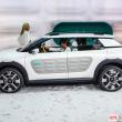 image Citroen-Cactus-0476.jpg