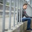 image Max-Verstappen-F3-Red-Bull-007.jpg