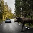 image Volvo-S90-078.jpg