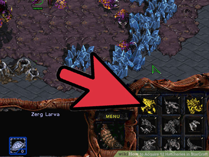 Image titled Acquire 12 Hatcheries in StarCraft Step 2