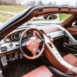 image Porsche-Carrera-GT-9028.jpg