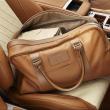 image Aston-DB9-Q-paard-008.jpg