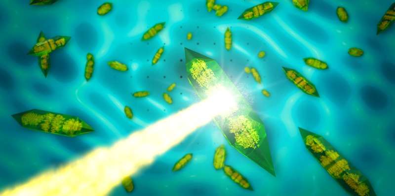 Now There's a Better Way to Image Crystals with X-Ray Lasers