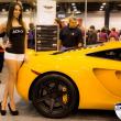 image EVS-Babes-Houston-12.jpg