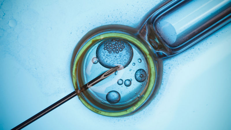 US Experts Say Three-Parent Babies Are Okay—Just No Girls
