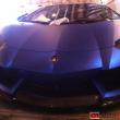 image Lambo2.jpg