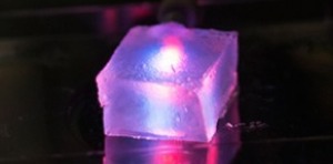 Cotton Candy Inspires New Method for Tissue Engineering