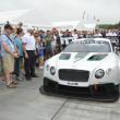image Bentley-Continental-GT3-Goodwood-live-06.jpg