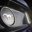 image Ford_Mustang_2015-8.jpg
