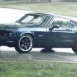 image Equus-Bass-770-07.jpg