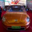 image vidoev-beetle-kloon-005.jpg