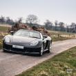 image Porsche-Carrera-GT-8980.jpg