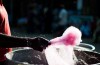Cotton Candy Inspires New Method for Tissue Engineering