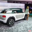 image Citroen-Cactus-0489.jpg