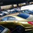 image CLS-Goud-04.jpg