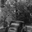 image Citroen-Traction-Avant-Historie-39.jpg