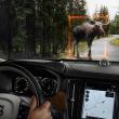 image Volvo-S90-081.jpg