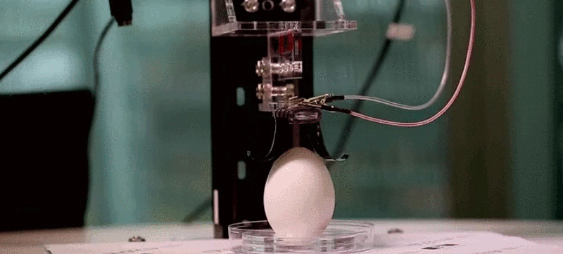Delicate Robotic Fingers Pick Up Fragile Objects Using Electrostatic Force