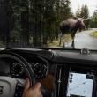 image Volvo-S90-082.jpg