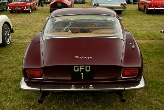 Iso Grifo - Foto: Jim Appelmelk