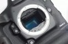 Canon’s New 1D X Mark II Shooting at 16 FPS Makes a Wonderful Sound
