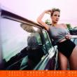 image Hot-Schrott-kalender-2014-02.jpg